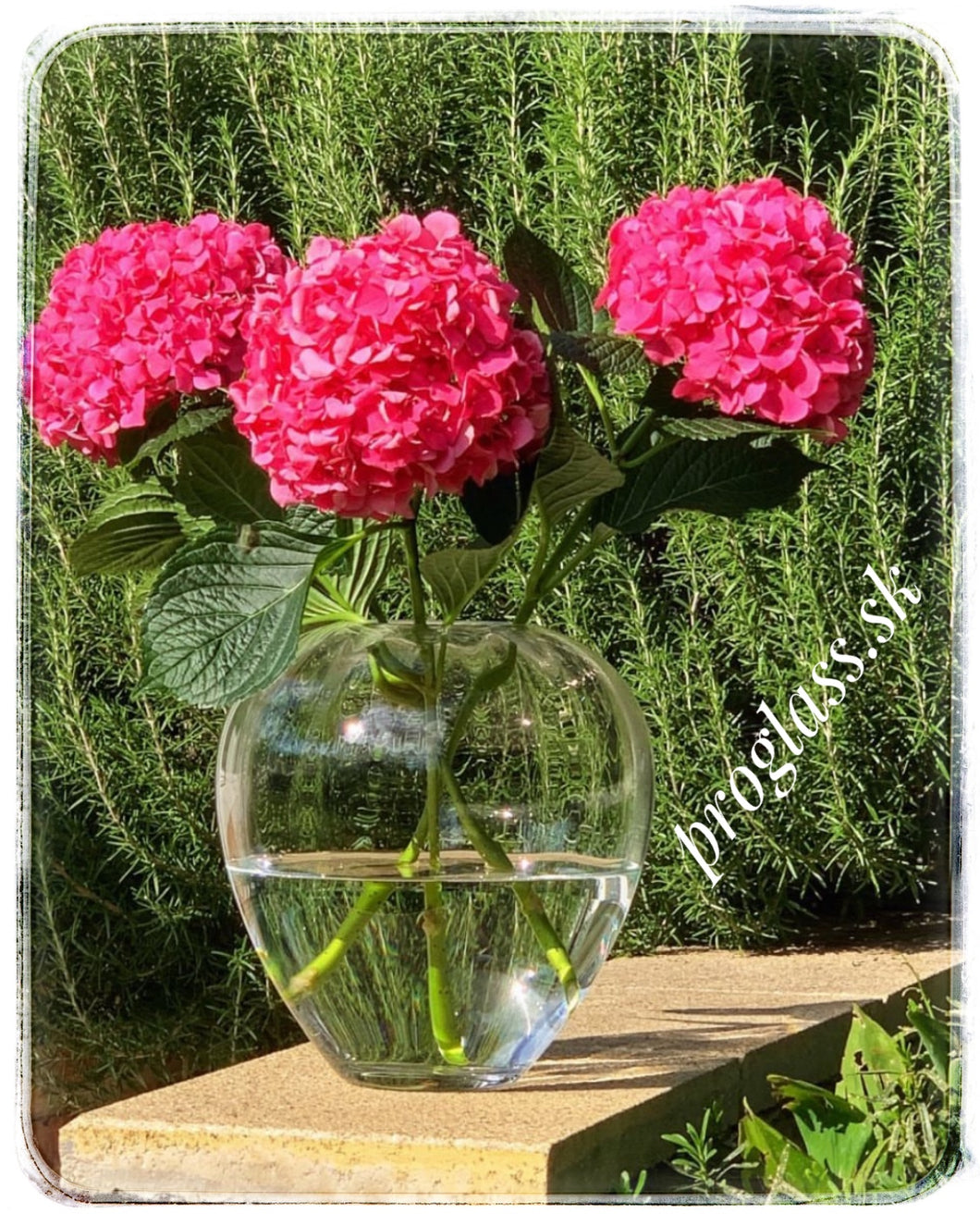 Váza Rona Premium 24,5 cm /RP.62023 P.245/